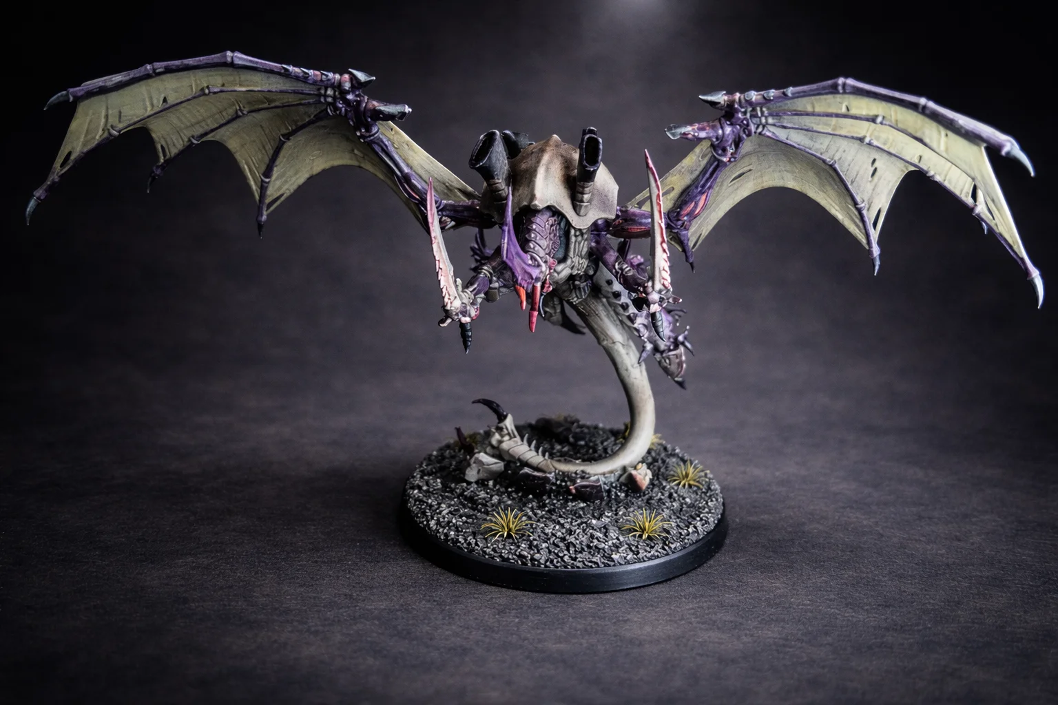 Tyran Des Ruches Ailé